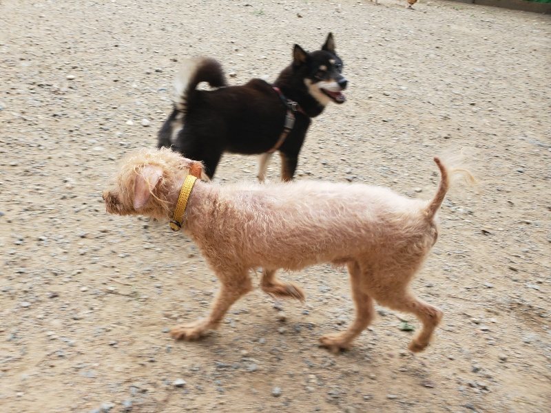 f:id:roukenhome-ann:20190917073827j:plain
