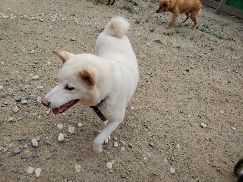f:id:roukenhome-ann:20190917073940j:plain