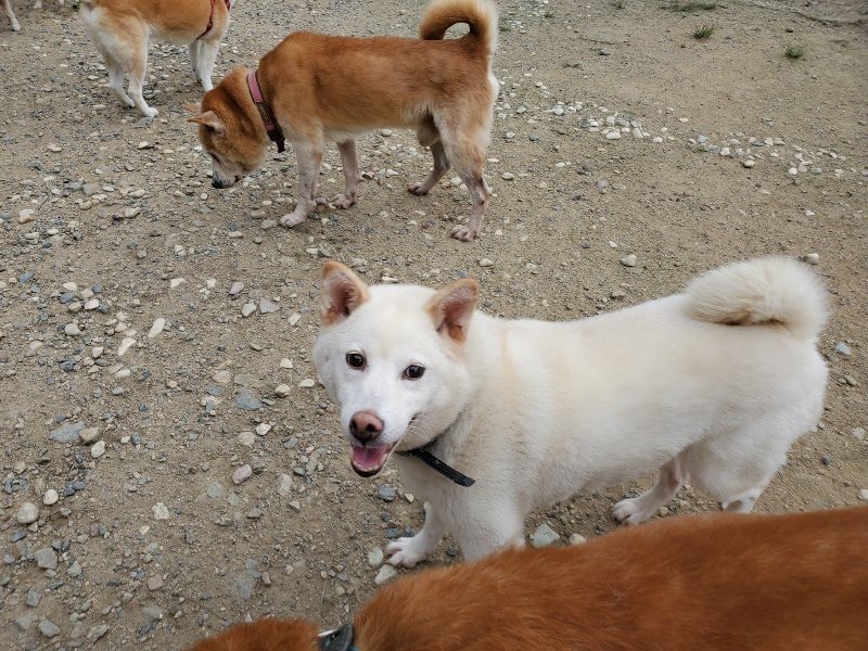f:id:roukenhome-ann:20190917074026j:plain