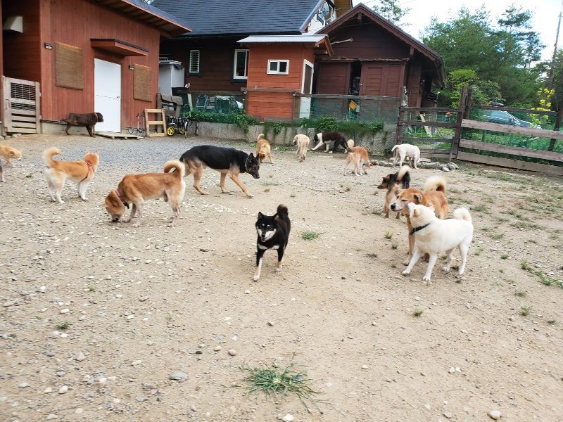 f:id:roukenhome-ann:20190917074145j:plain