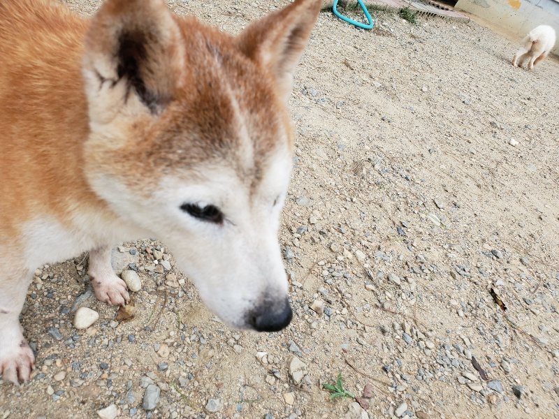 f:id:roukenhome-ann:20190917074202j:plain