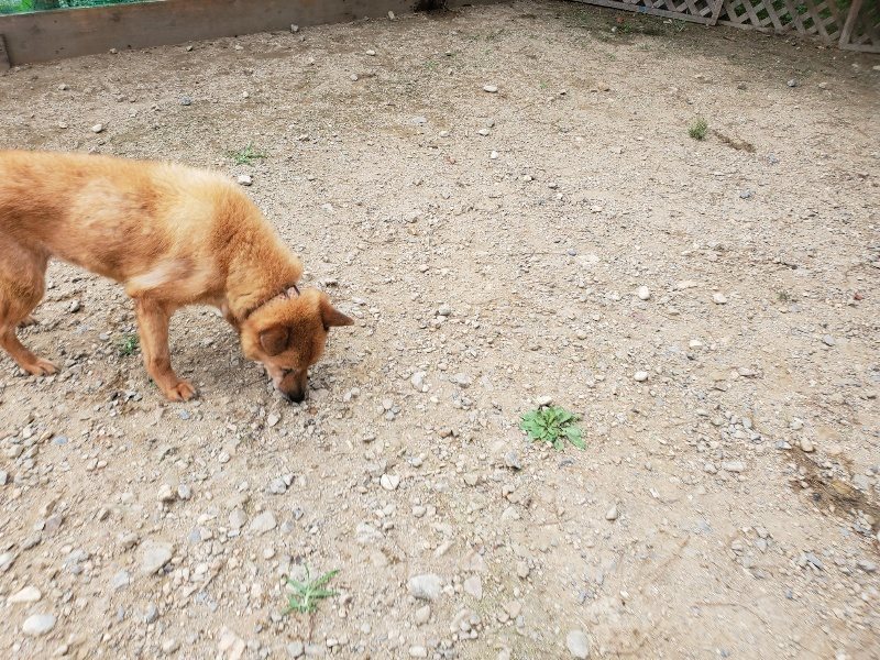 f:id:roukenhome-ann:20190917074238j:plain