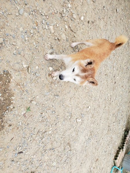 f:id:roukenhome-ann:20190917074252j:plain