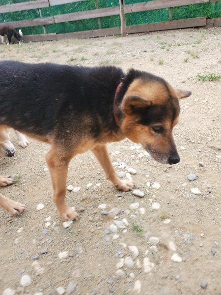 f:id:roukenhome-ann:20190917074318j:plain