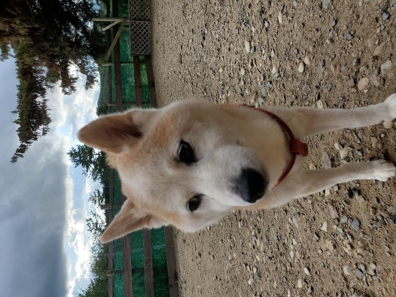 f:id:roukenhome-ann:20190917074329j:plain