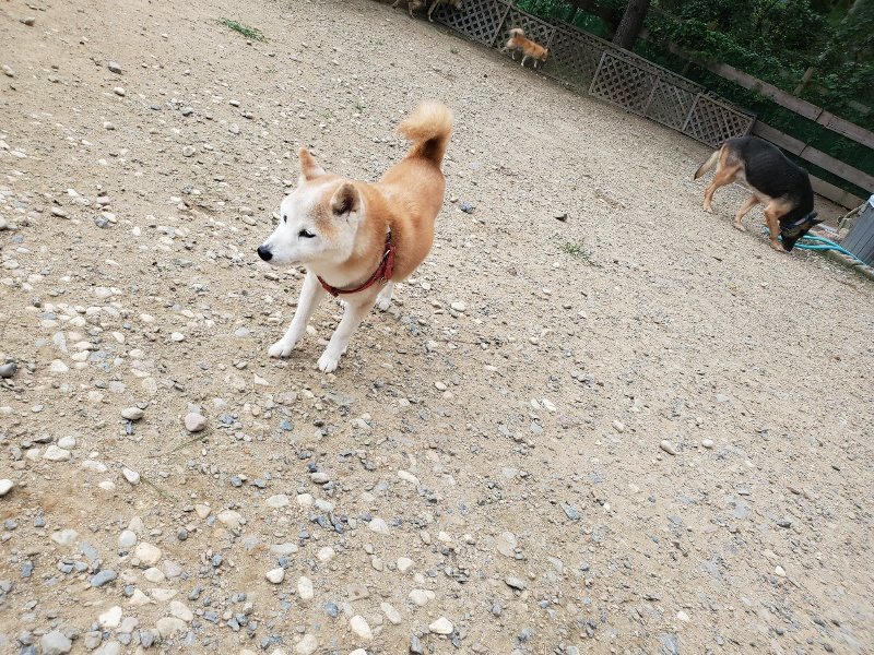 f:id:roukenhome-ann:20190917074349j:plain