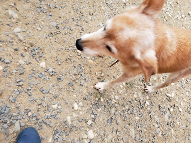 f:id:roukenhome-ann:20190917074355j:plain