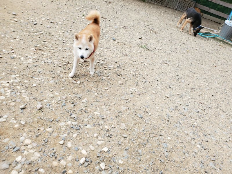 f:id:roukenhome-ann:20190917074401j:plain