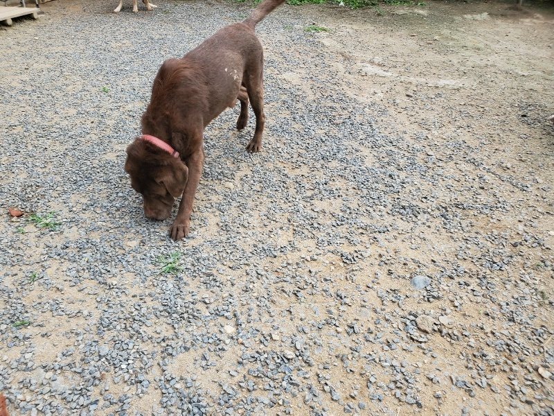 f:id:roukenhome-ann:20190917074413j:plain