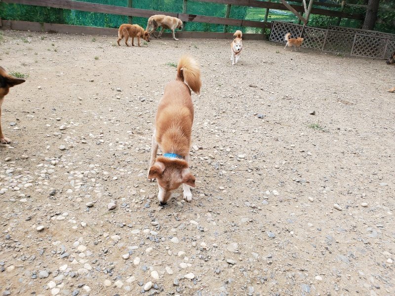 f:id:roukenhome-ann:20190917074427j:plain