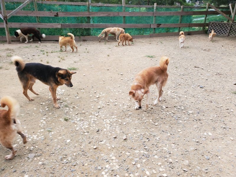 f:id:roukenhome-ann:20190917074434j:plain