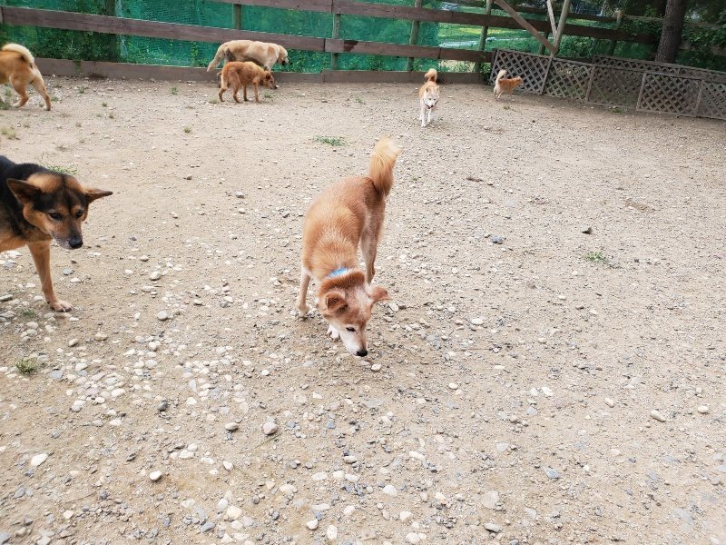 f:id:roukenhome-ann:20190917074440j:plain