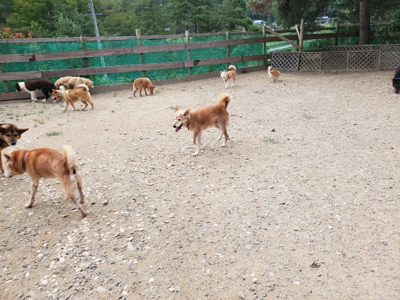 f:id:roukenhome-ann:20190917074448j:plain