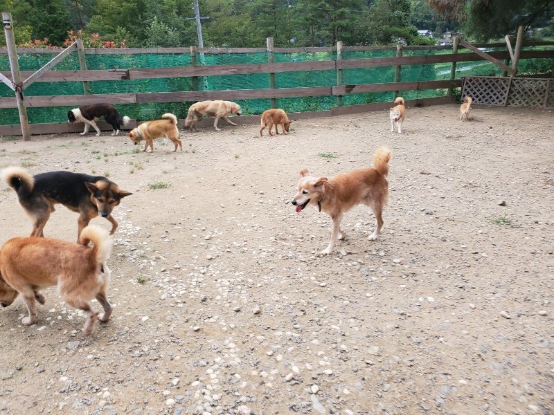 f:id:roukenhome-ann:20190917074453j:plain