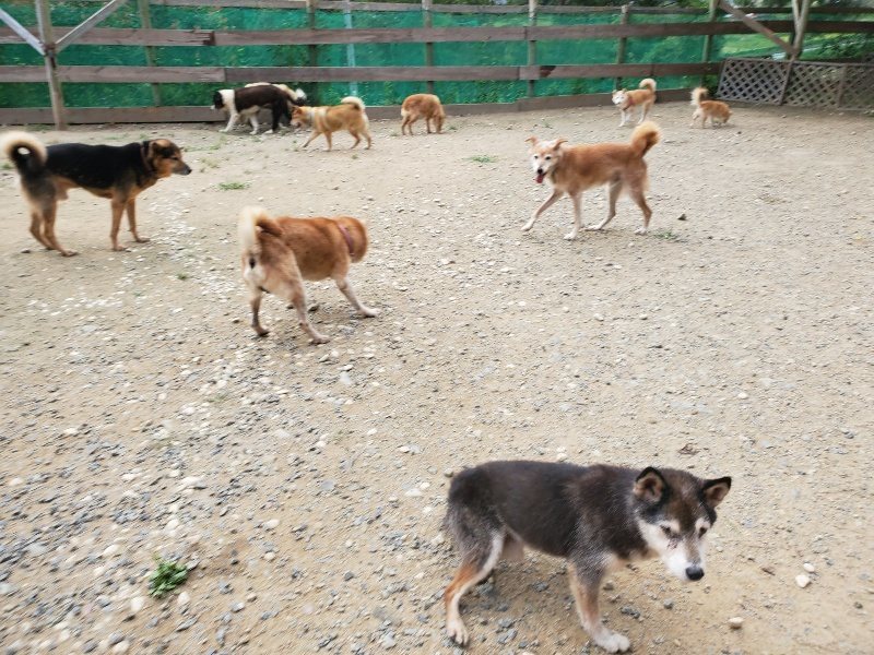 f:id:roukenhome-ann:20190917074459j:plain