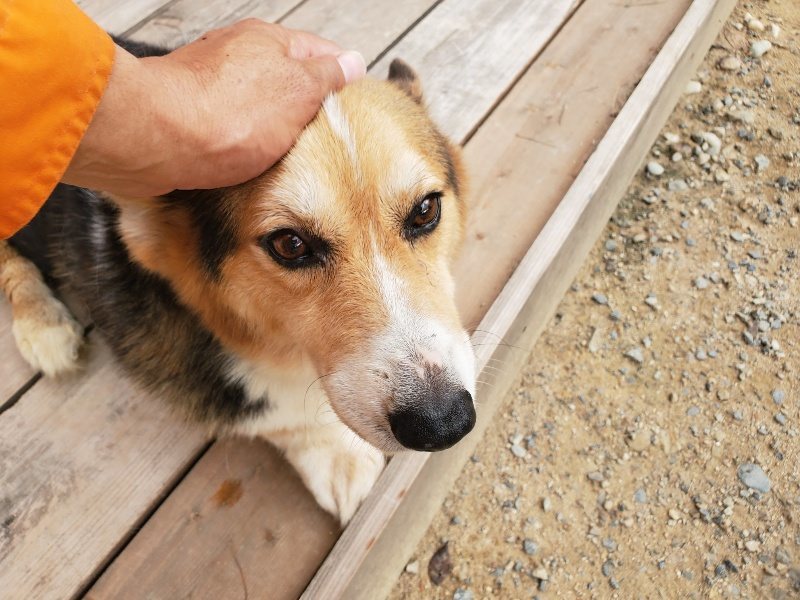 f:id:roukenhome-ann:20190917074504j:plain