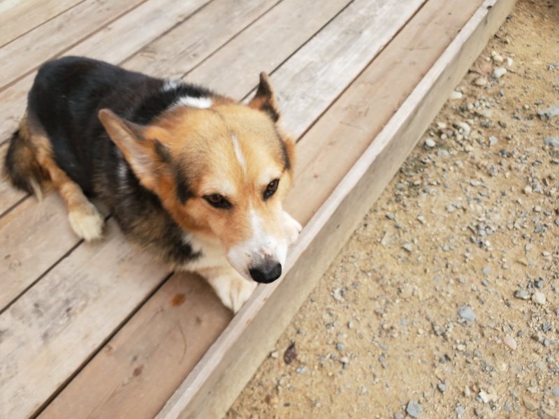 f:id:roukenhome-ann:20190917074508j:plain