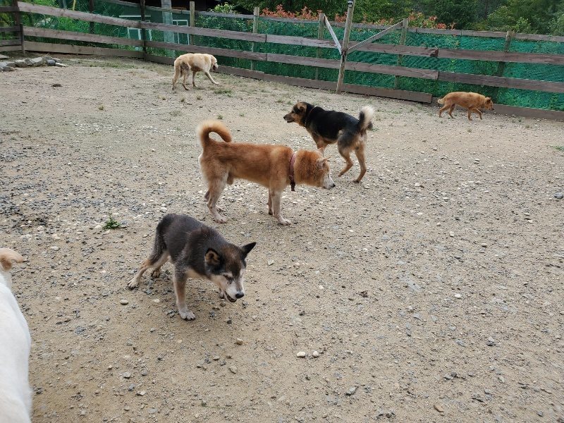 f:id:roukenhome-ann:20190917074541j:plain