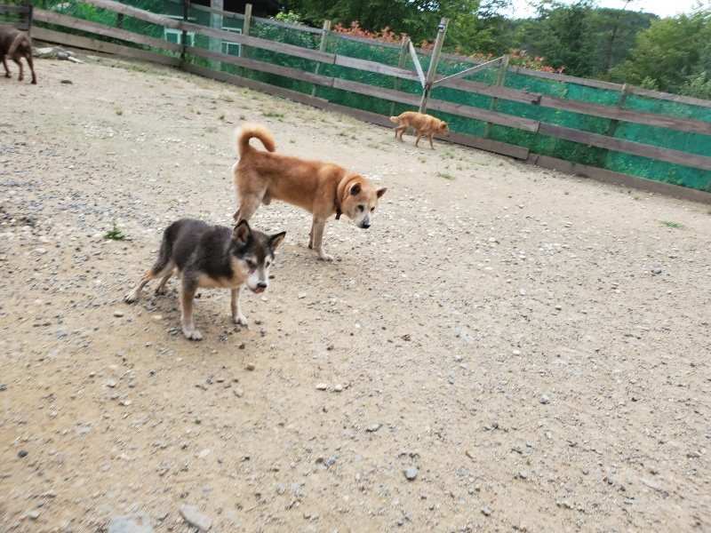 f:id:roukenhome-ann:20190917074607j:plain