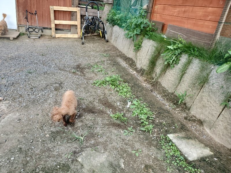 f:id:roukenhome-ann:20190917074812j:plain