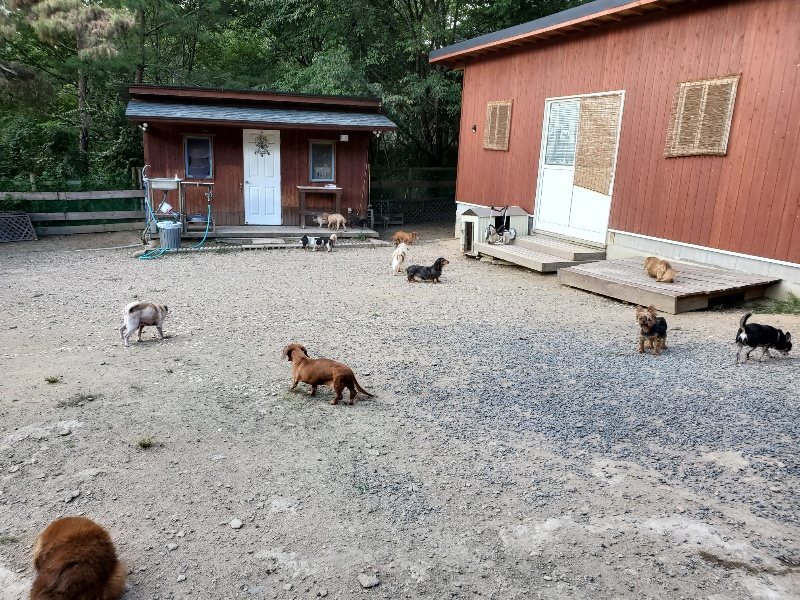 f:id:roukenhome-ann:20190917074829j:plain