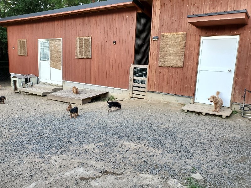 f:id:roukenhome-ann:20190917074836j:plain