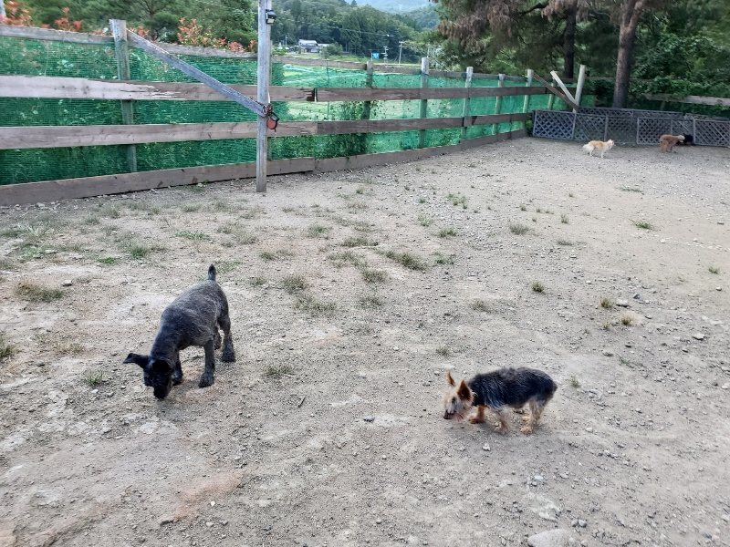 f:id:roukenhome-ann:20190917074842j:plain