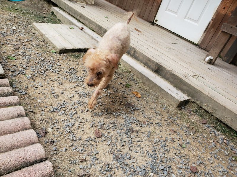 f:id:roukenhome-ann:20190917074848j:plain