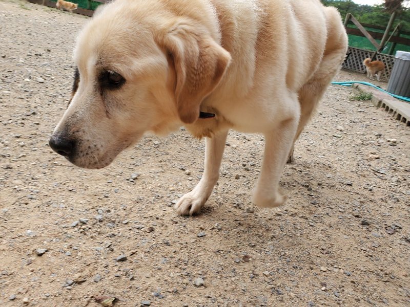 f:id:roukenhome-ann:20190917074853j:plain