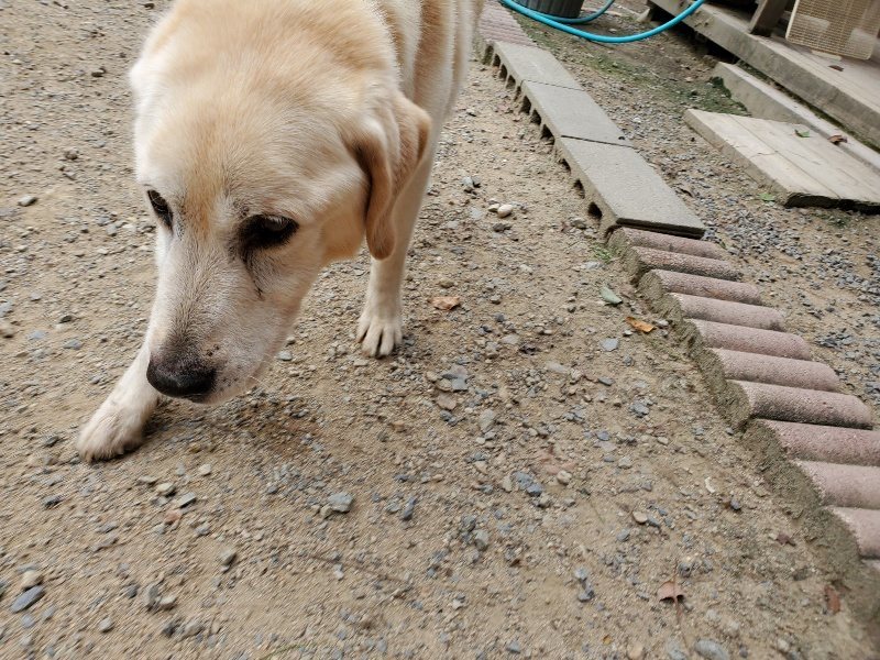 f:id:roukenhome-ann:20190917074859j:plain