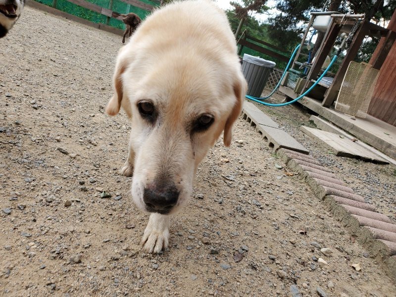 f:id:roukenhome-ann:20190917074905j:plain