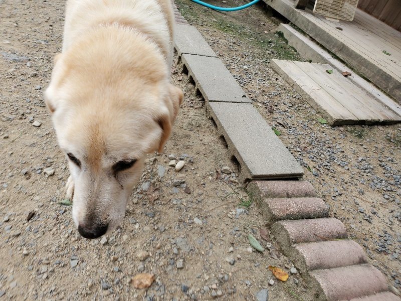 f:id:roukenhome-ann:20190917074912j:plain
