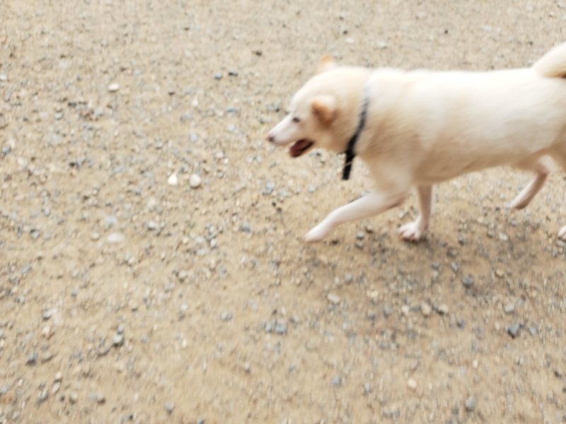 f:id:roukenhome-ann:20190917074922j:plain