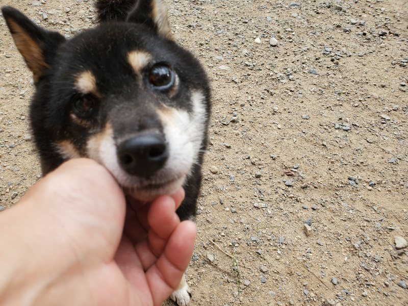 f:id:roukenhome-ann:20190917074927j:plain
