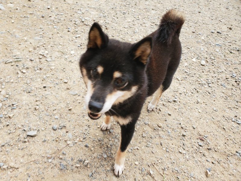 f:id:roukenhome-ann:20190917074942j:plain