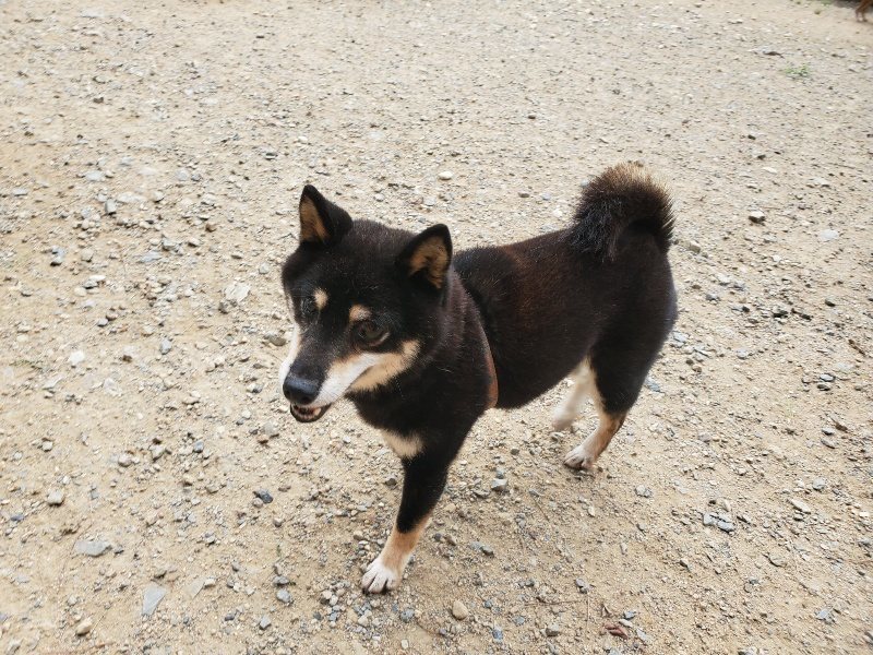 f:id:roukenhome-ann:20190917074948j:plain