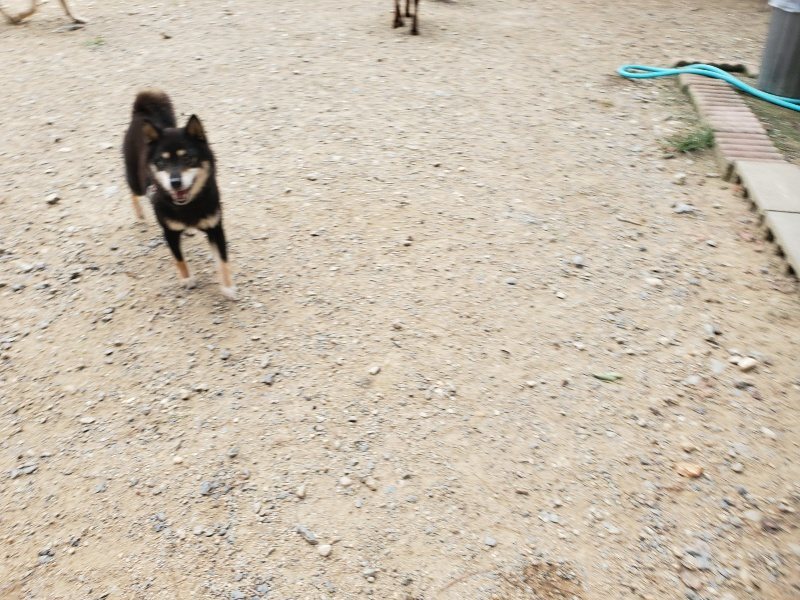 f:id:roukenhome-ann:20190917075008j:plain
