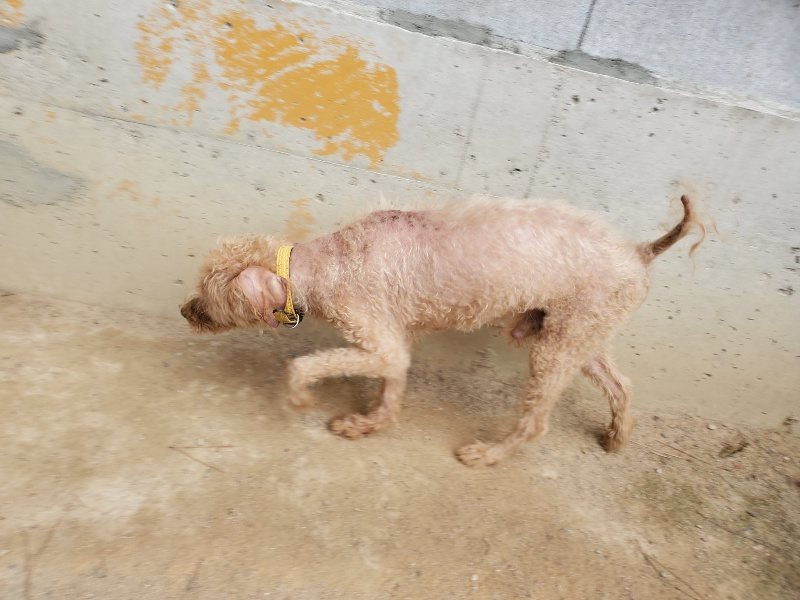 f:id:roukenhome-ann:20190917075018j:plain