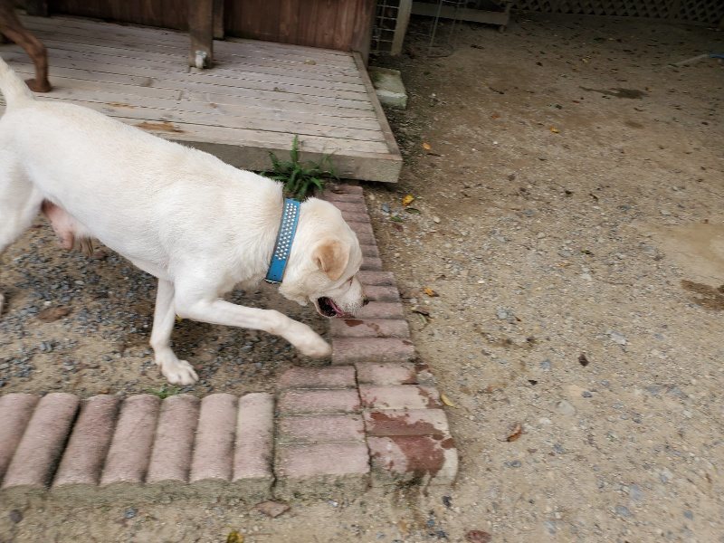 f:id:roukenhome-ann:20190917075046j:plain