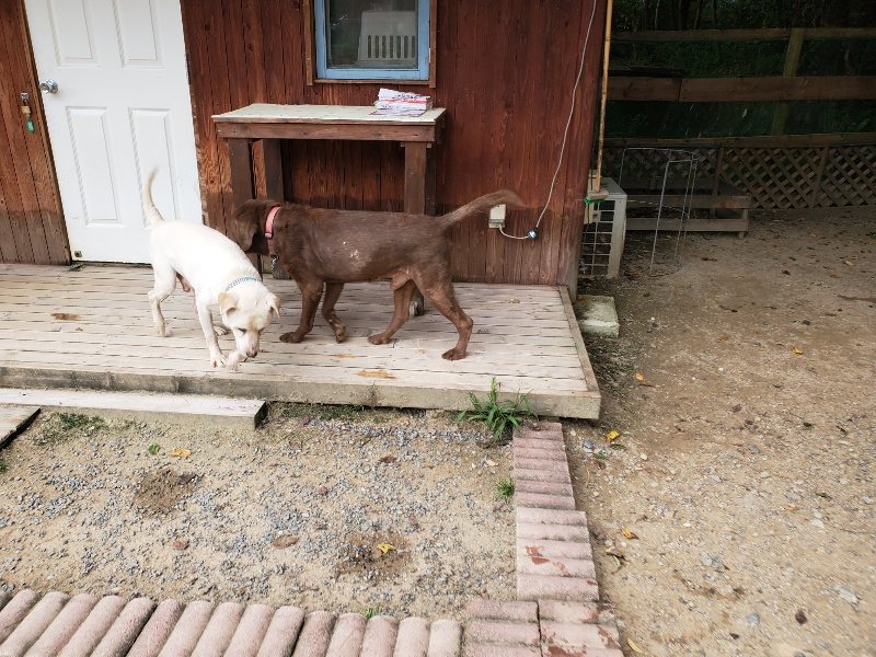 f:id:roukenhome-ann:20190917075052j:plain