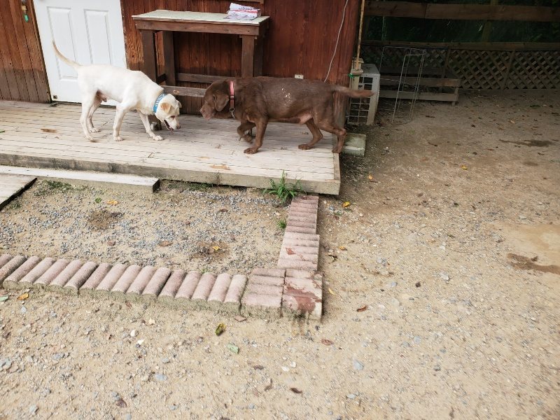 f:id:roukenhome-ann:20190917075109j:plain