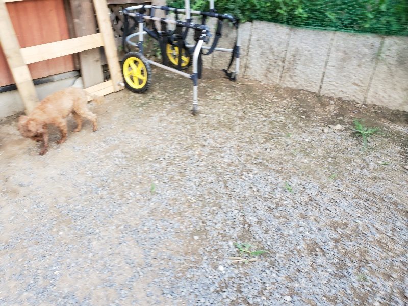 f:id:roukenhome-ann:20190917080026j:plain