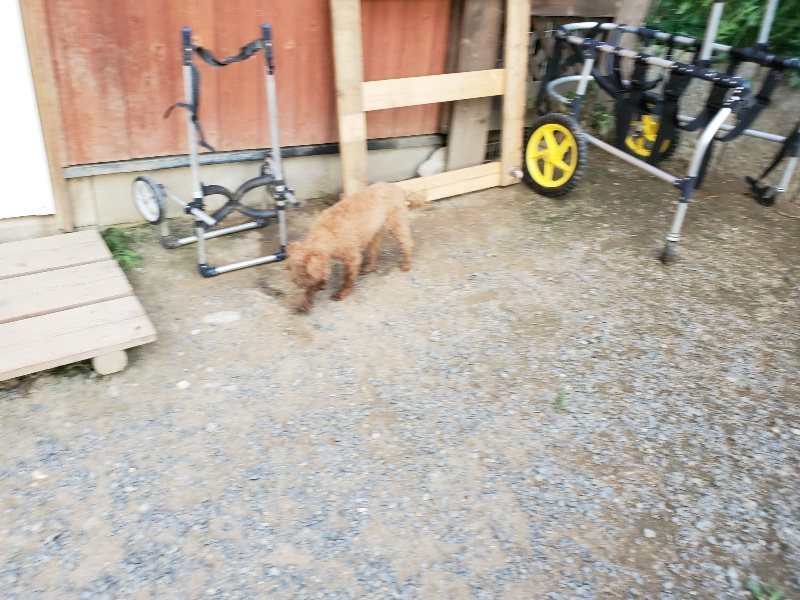 f:id:roukenhome-ann:20190917080031j:plain