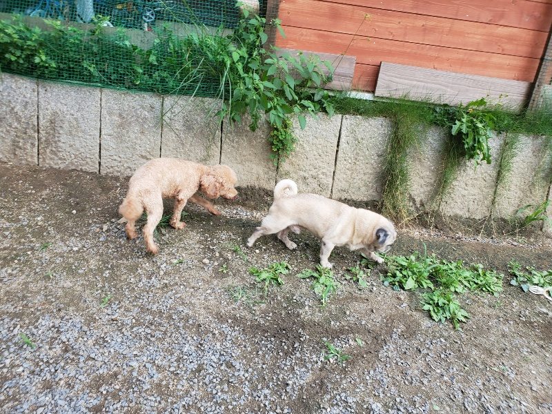 f:id:roukenhome-ann:20190917080037j:plain