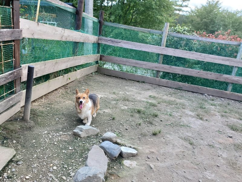 f:id:roukenhome-ann:20190917080044j:plain