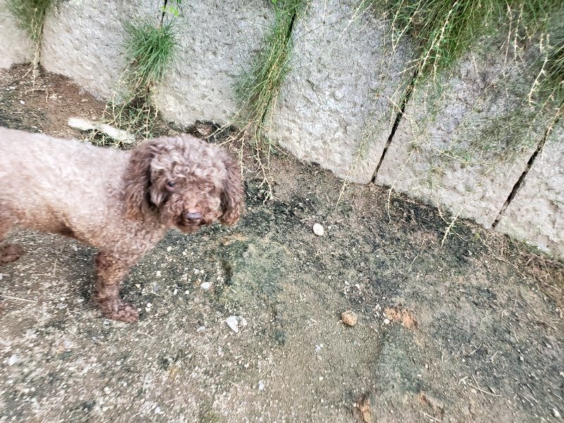 f:id:roukenhome-ann:20190917080114j:plain