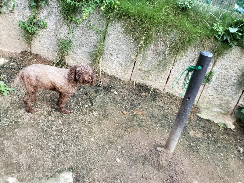 f:id:roukenhome-ann:20190917080122j:plain