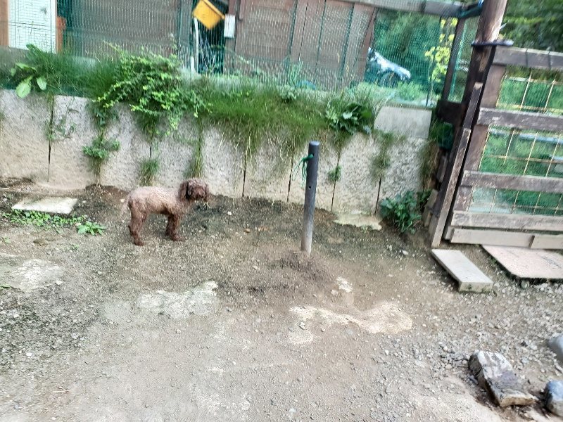 f:id:roukenhome-ann:20190917080132j:plain