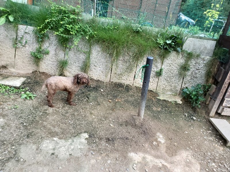 f:id:roukenhome-ann:20190917080140j:plain