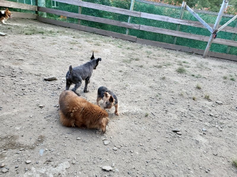 f:id:roukenhome-ann:20190917080147j:plain
